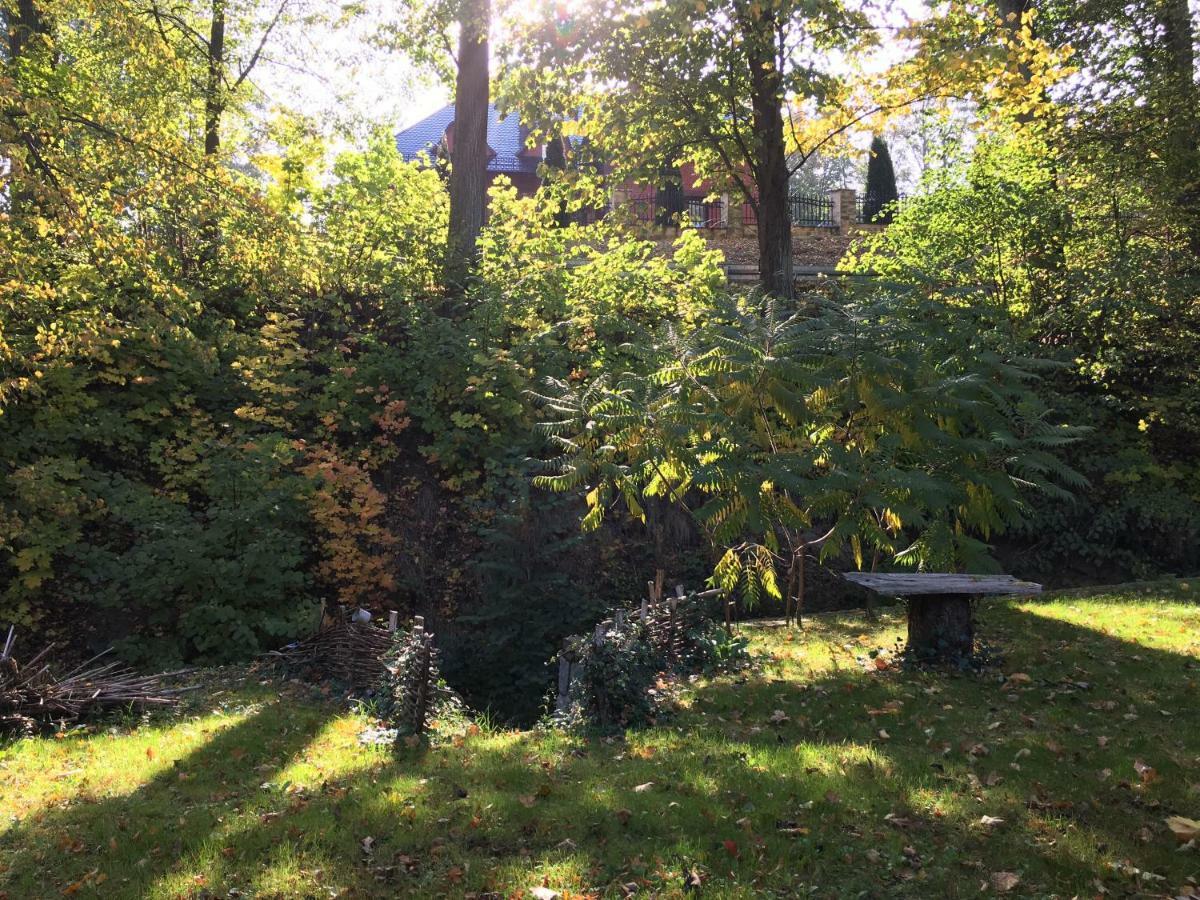 Dom Goscinny Leniuchy Leśna Exterior foto